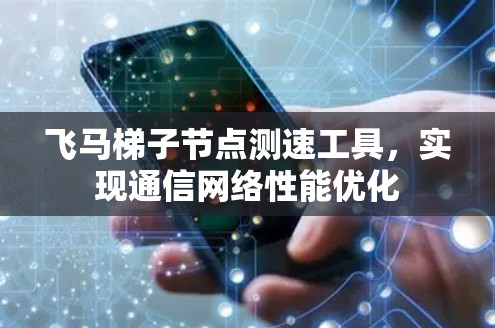 飞马梯子节点测速工具，实现通信网络性能优化