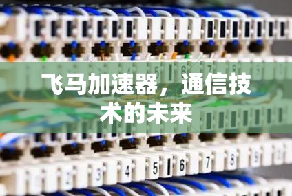 飞马加速器，通信技术的未来