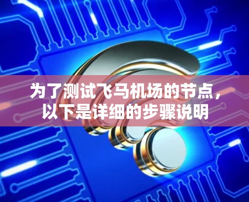 为了测试飞马机场的节点，以下是详细的步骤说明