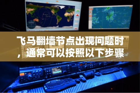 飞马翻墙节点出现问题时，通常可以按照以下步骤进行排查和解决