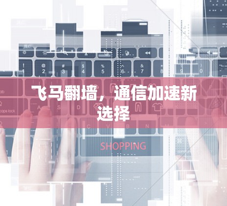 飞马翻墙，通信加速新选择