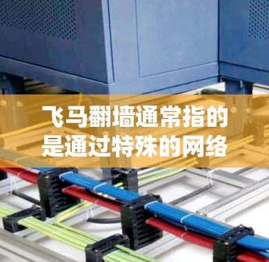 飞马翻墙通常指的是通过特殊的网络线路或技术手段绕过网络限制，访问被屏蔽的国际网站或资源。虽然我无法提供具体的线路或方法，但以下是一些常见的国际线路推荐和技术手段，供你参考