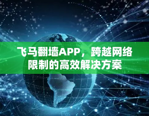 飞马翻墙APP，跨越网络限制的高效解决方案