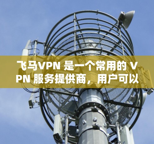 飞马VPN 是一个常用的 VPN 服务提供商，用户可以通过其客户端轻松切换不同的服务器位置，以切换不同的网络环境或访问不同的资源。以下是一些关于如何切换飞马VPN 线路的步骤和说明