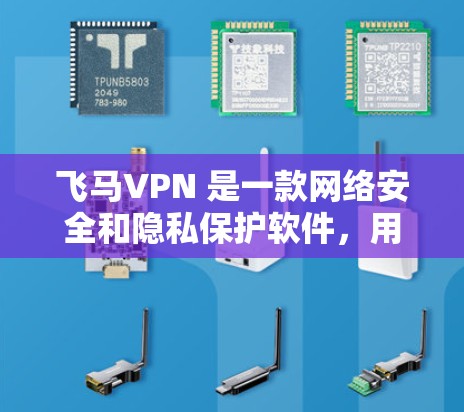 飞马VPN 是一款网络安全和隐私保护软件，用户可以通过以下几种方式获取