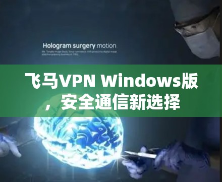 飞马VPN Windows版，安全通信新选择